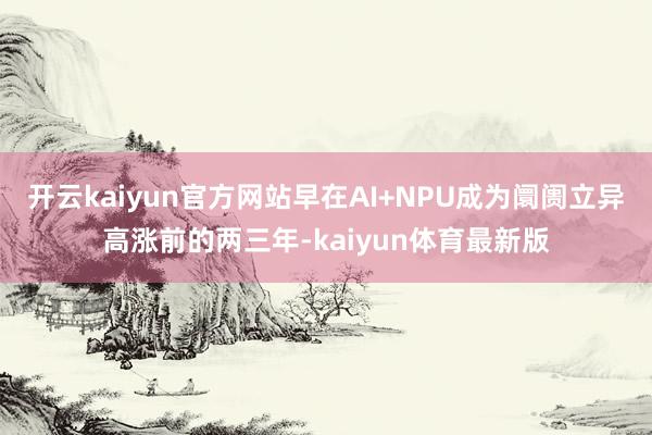 开云kaiyun官方网站早在AI+NPU成为阛阓立异高涨前的两三年-kaiyun体育最新版