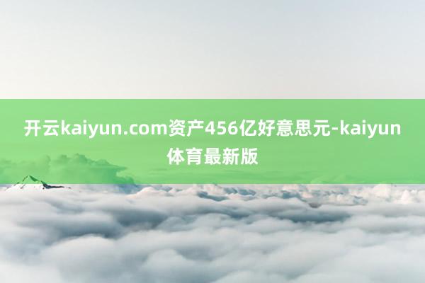 开云kaiyun.com资产456亿好意思元-kaiyun体育最新版