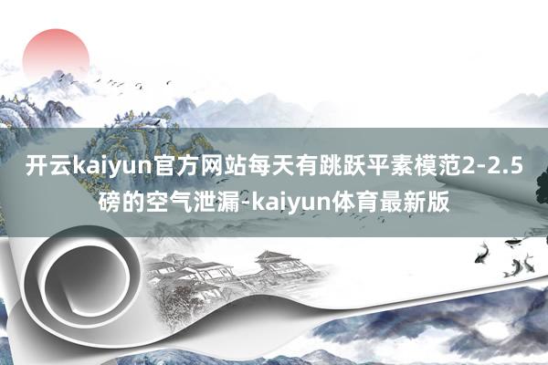 开云kaiyun官方网站每天有跳跃平素模范2-2.5磅的空气泄漏-kaiyun体育最新版